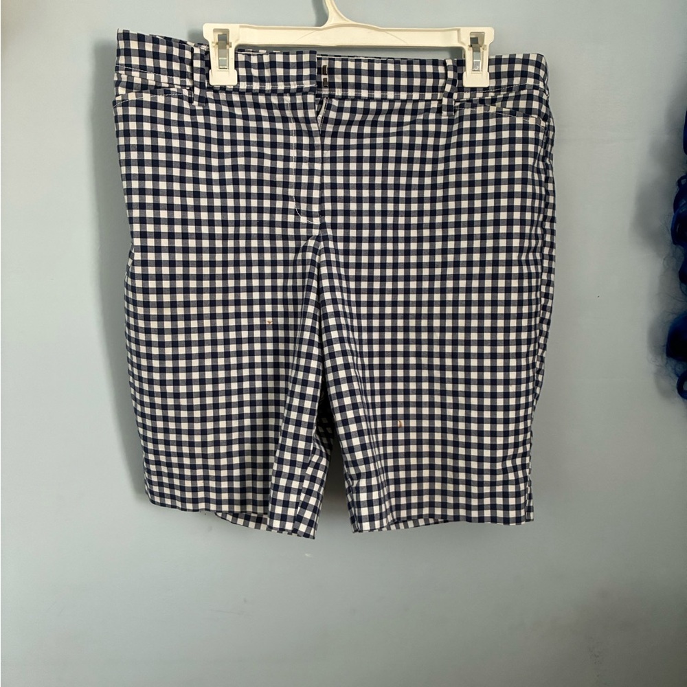 Talbots Blue and White Gingham Shorts